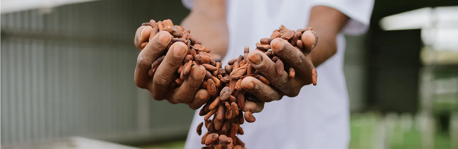 WeContent cria para a Mendoá Chocolates
