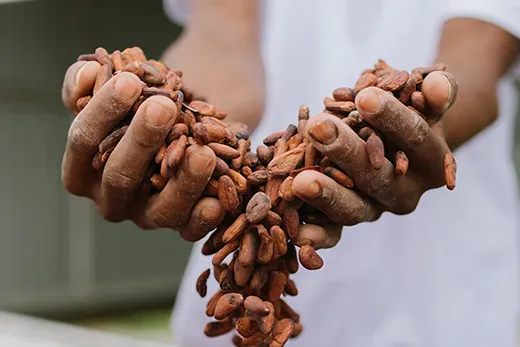 WeContent cria para a Mendoá Chocolates